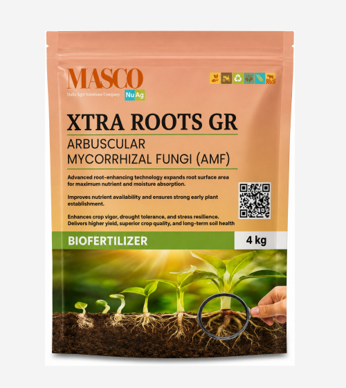 XTRA ROOTS GR