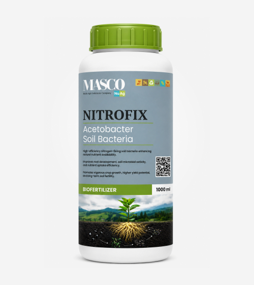 XTRA ROOTS GR